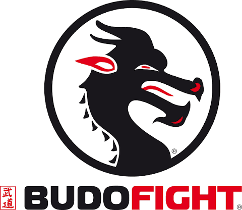 Budo-Fight